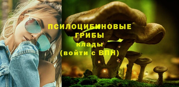 ПСИЛОЦИБИНОВЫЕ ГРИБЫ Надым