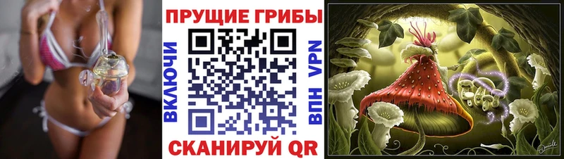 Псилоцибиновые грибы Psilocybe  где купить наркоту  Белоозёрский 